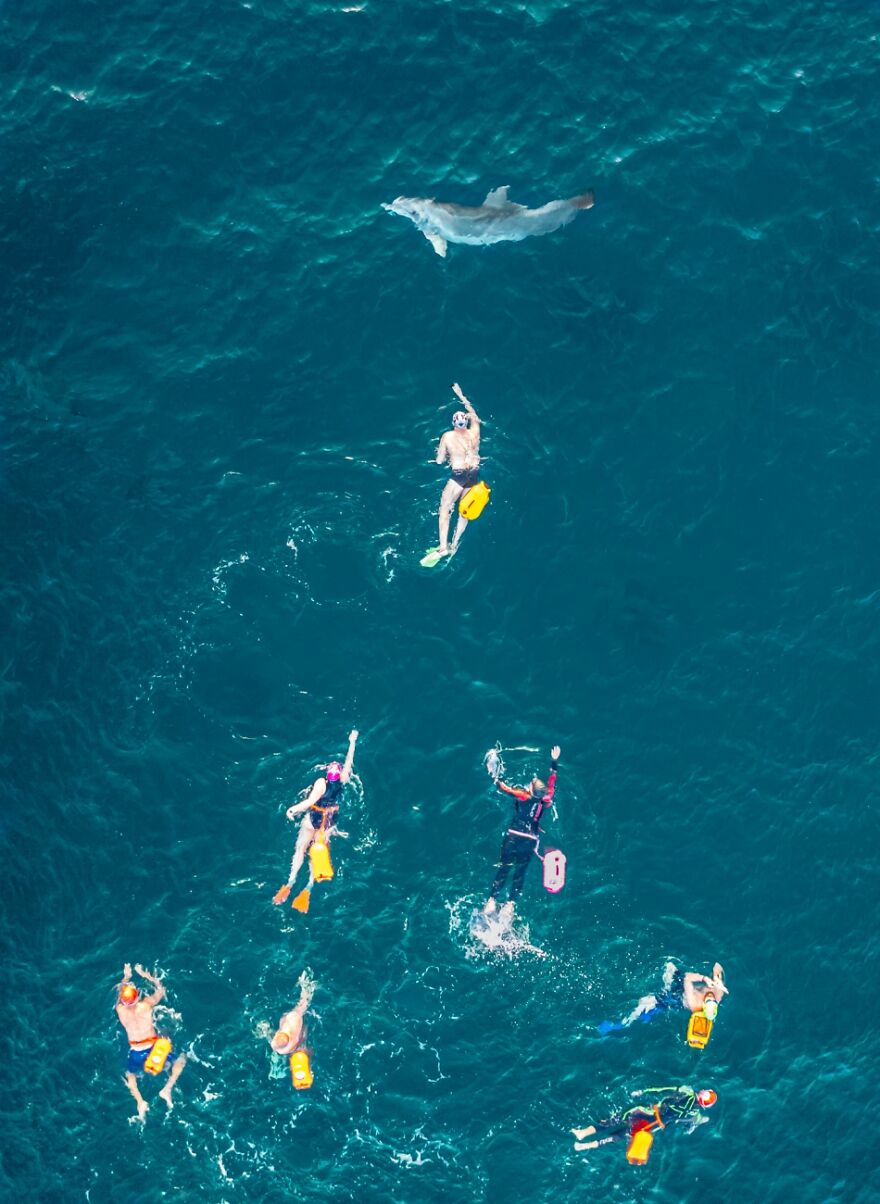 Category: Sports, Highly Commended, Race To The Dolphin By Gilad Topaz