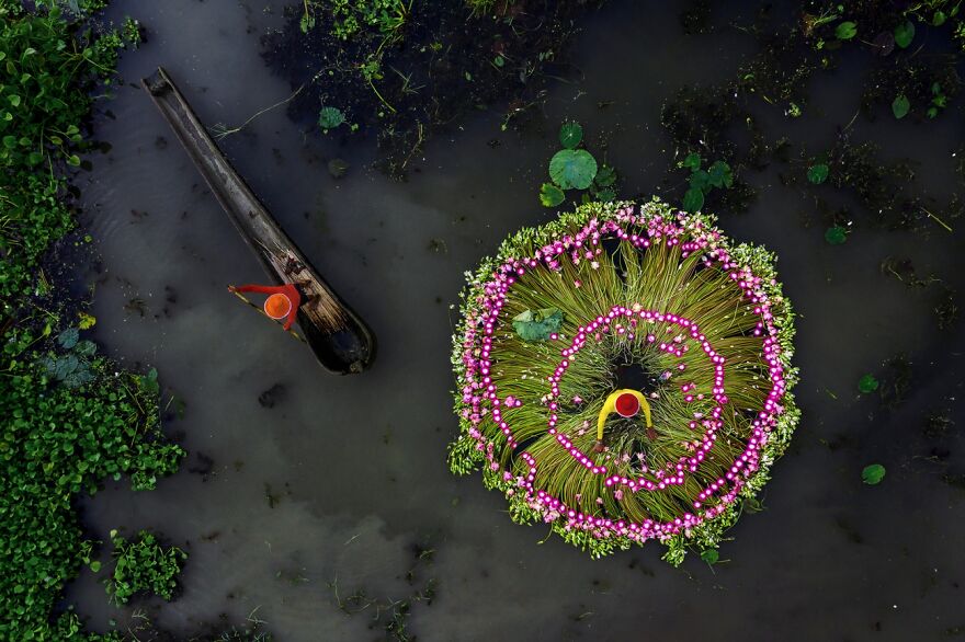 Category: People, Runner Up, Waterlily Harvesting By Shibasish Saha
