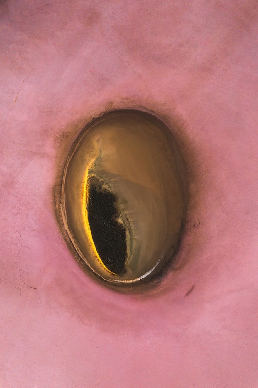 Category: Abstract, Highly Commended, Natures Eye By Jim Picôt