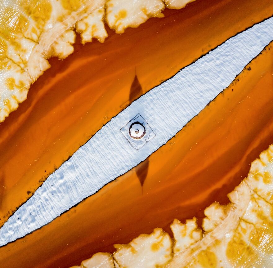 Category: Abstract, Highly Commended, Snake Eyes By Ovi D. Pop