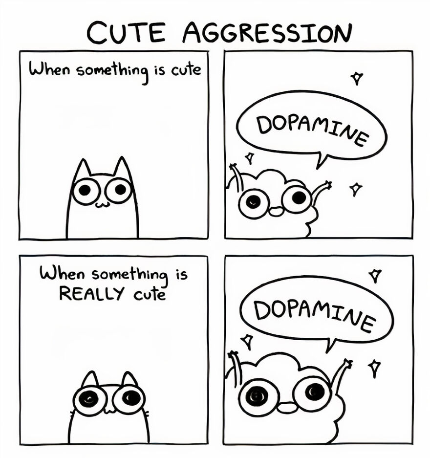 These Comics Explain Exactly Everything About Being A Girl (New Pics)