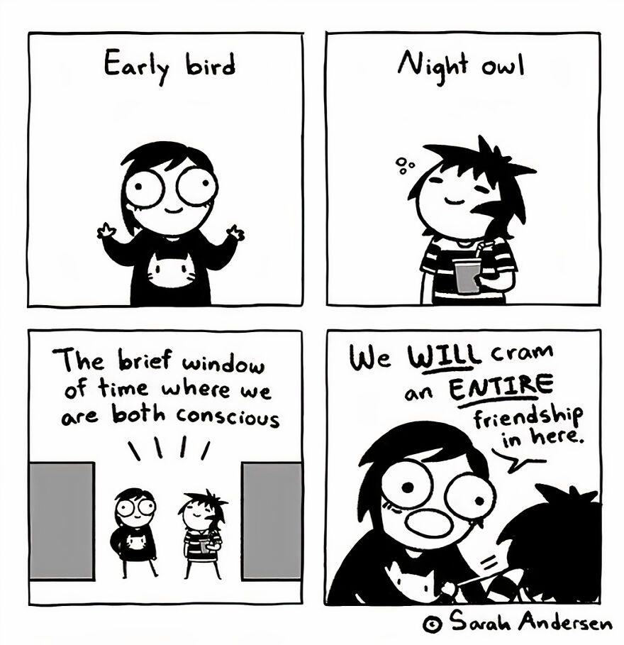 These Comics Explain Exactly Everything About Being A Girl (New Pics)