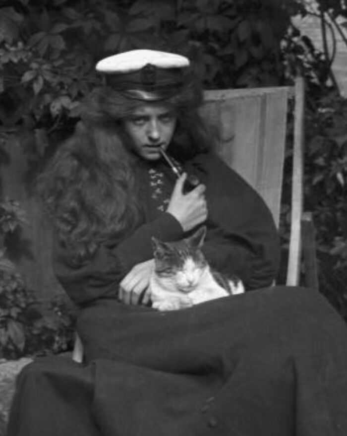 This Twitter Account Brings Together The Best Pictures Of Cats And Their Stories From The Past