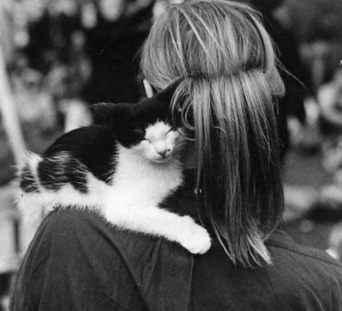 This Twitter Account Brings Together The Best Pictures Of Cats And Their Stories From The Past