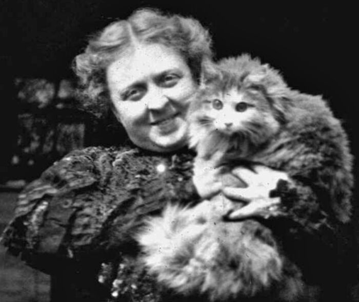 This Twitter Account Brings Together The Best Pictures Of Cats And Their Stories From The Past