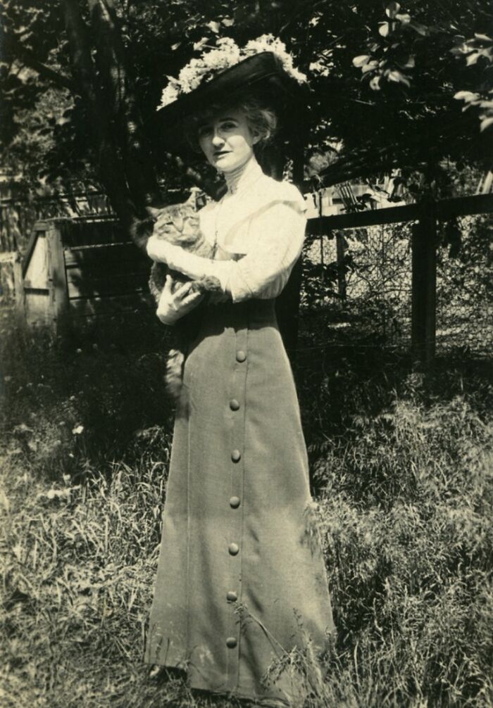 This Twitter Account Brings Together The Best Pictures Of Cats And Their Stories From The Past