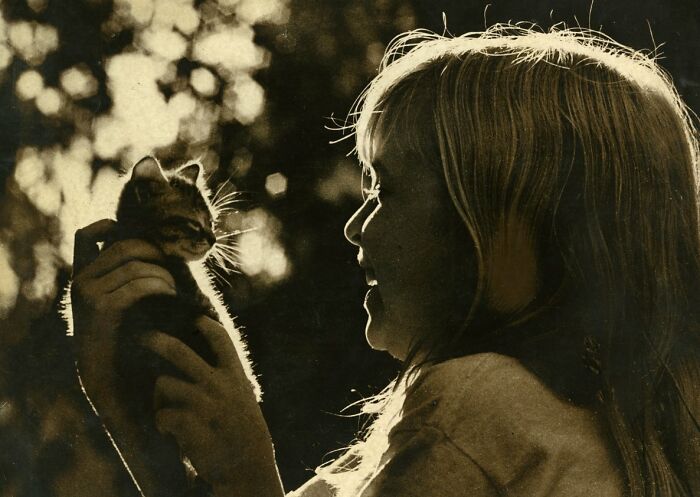 This Twitter Account Brings Together The Best Pictures Of Cats And Their Stories From The Past