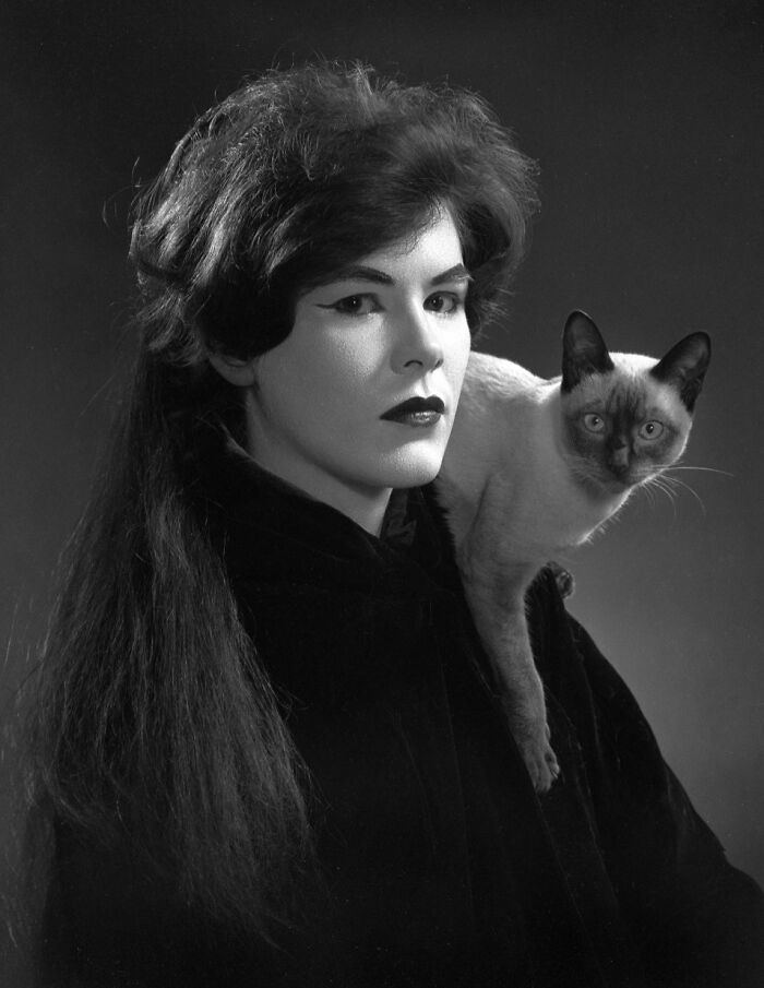 This Twitter Account Brings Together The Best Pictures Of Cats And Their Stories From The Past