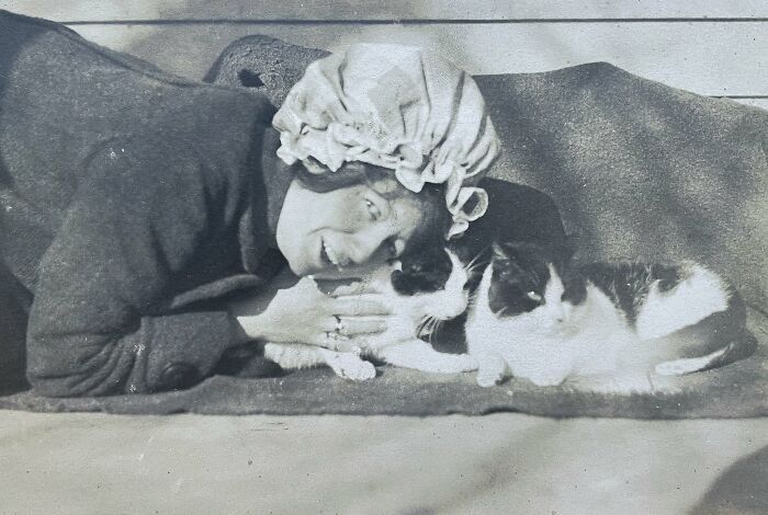 This Twitter Account Brings Together The Best Pictures Of Cats And Their Stories From The Past