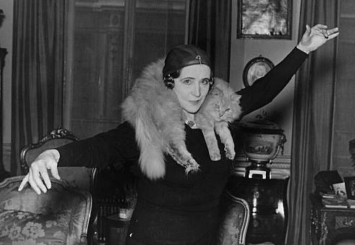 This Twitter Account Brings Together The Best Pictures Of Cats And Their Stories From The Past