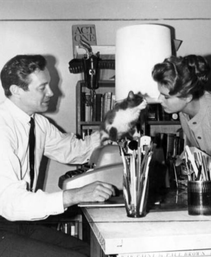 This Twitter Account Brings Together The Best Pictures Of Cats And Their Stories From The Past