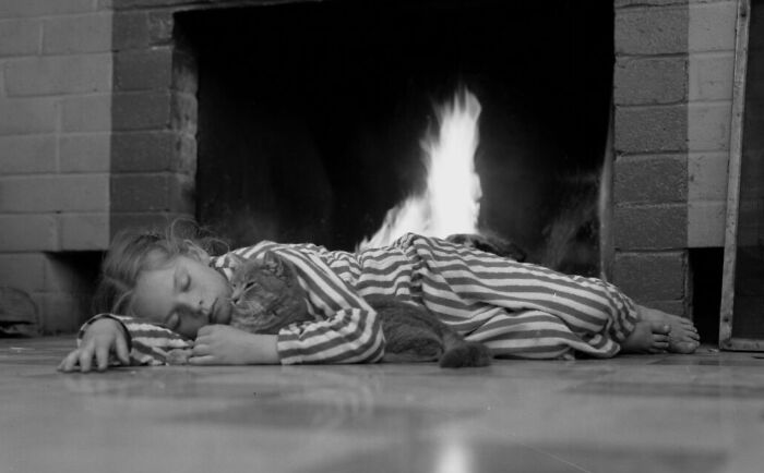 This Twitter Account Brings Together The Best Pictures Of Cats And Their Stories From The Past