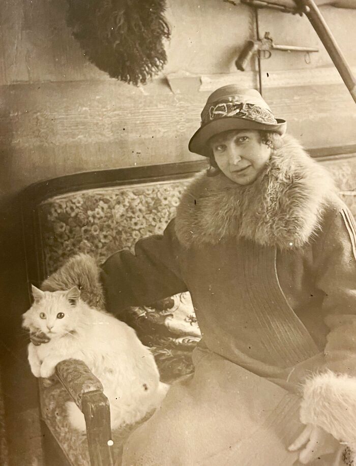 This Twitter Account Brings Together The Best Pictures Of Cats And Their Stories From The Past