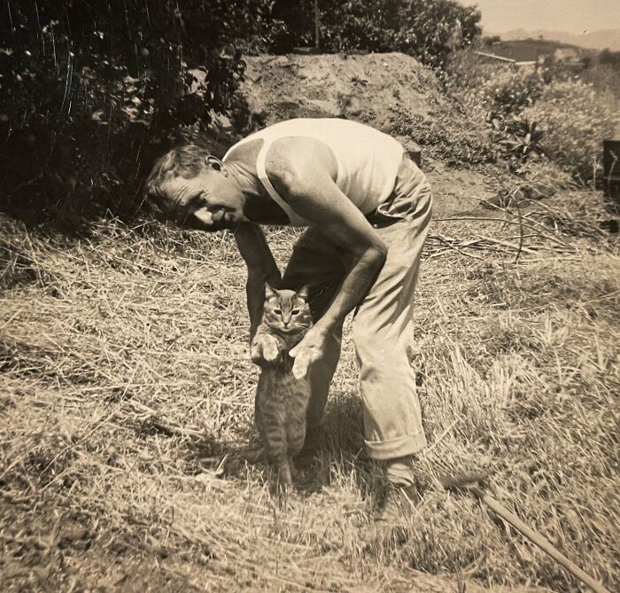 This Twitter Account Brings Together The Best Pictures Of Cats And Their Stories From The Past