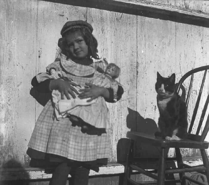 This Twitter Account Brings Together The Best Pictures Of Cats And Their Stories From The Past