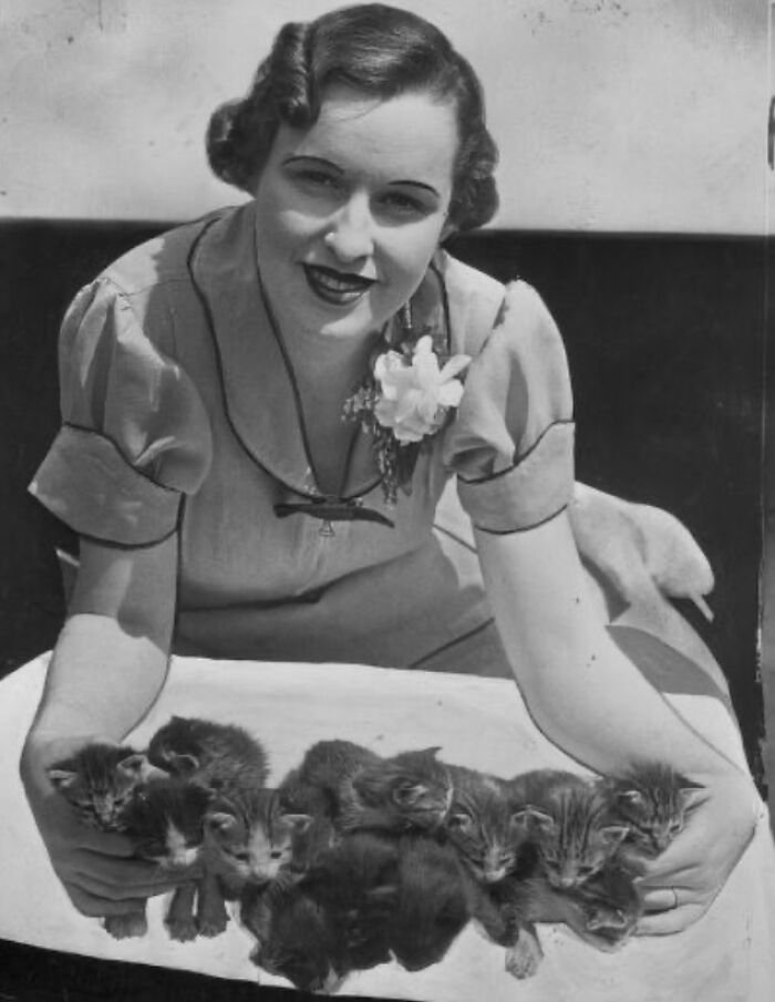 This Twitter Account Brings Together The Best Pictures Of Cats And Their Stories From The Past