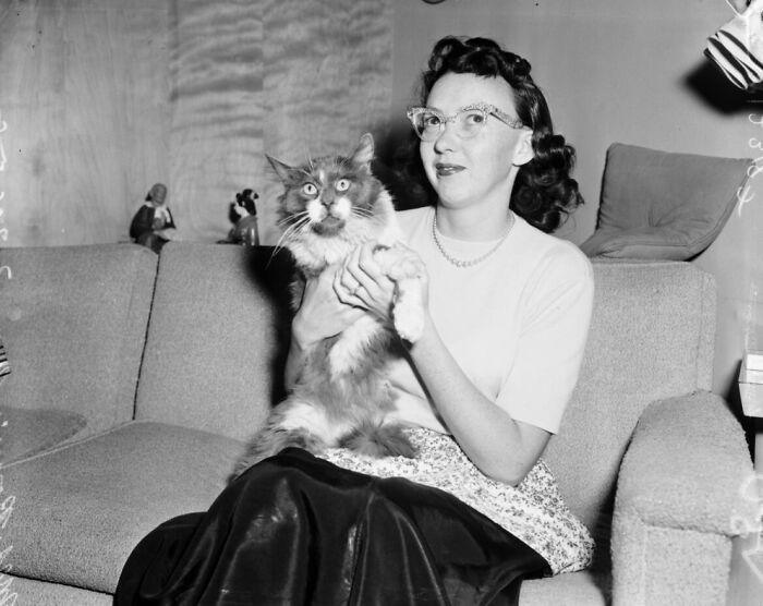 This Twitter Account Brings Together The Best Pictures Of Cats And Their Stories From The Past