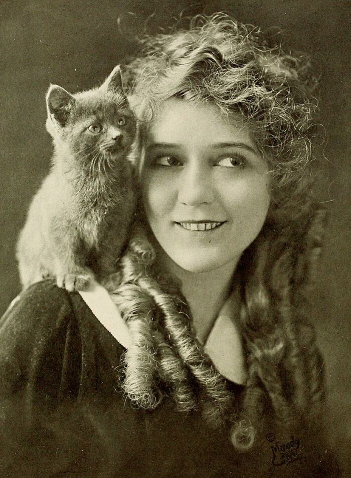 This Twitter Account Brings Together The Best Pictures Of Cats And Their Stories From The Past