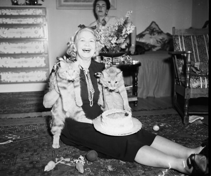 This Twitter Account Brings Together The Best Pictures Of Cats And Their Stories From The Past