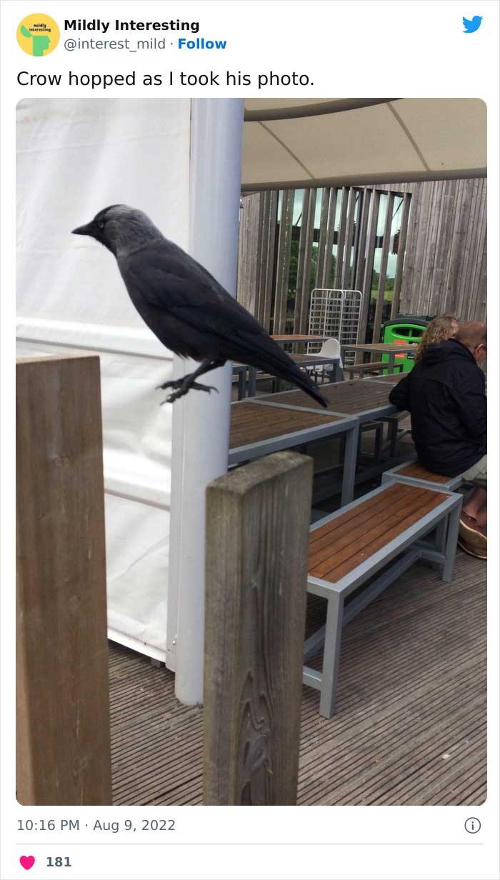 Mildly-Interesting-Post-Twitter