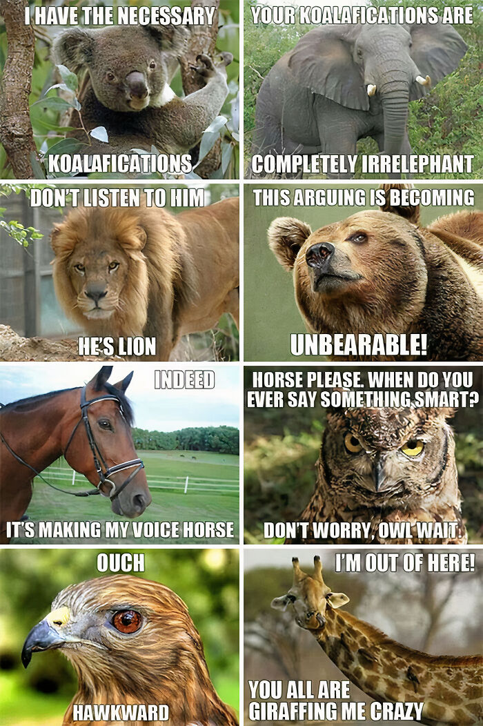 My Favorite Animal Meme