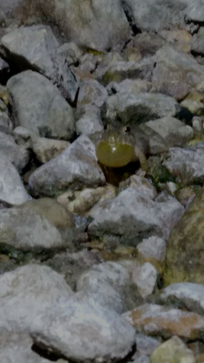 Definition Of Small And Mighty, So Loud For Being So Small