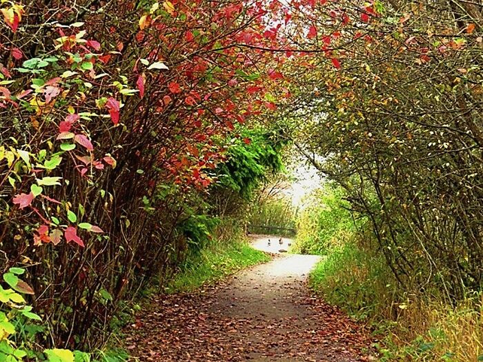 I Don't Know If This Counts, But It Seems Like A Gateway To Another World