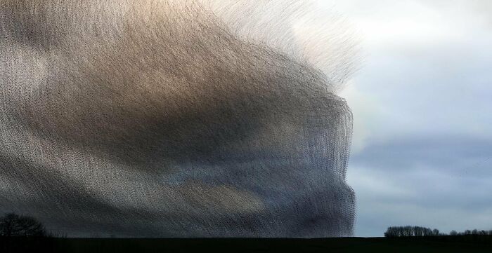 Creative Imagery: "Smokescreen" By Kathryn Cooper (Highly Commended)