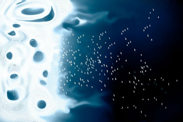 Creative Imagery: "Out Of Signal" By Severin Fromyr (Highly Commended)