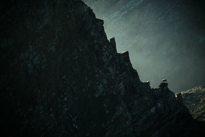 Birds In The Environment: "Storks On The Cliff" By Nuno Cabrita (Highly Commended)