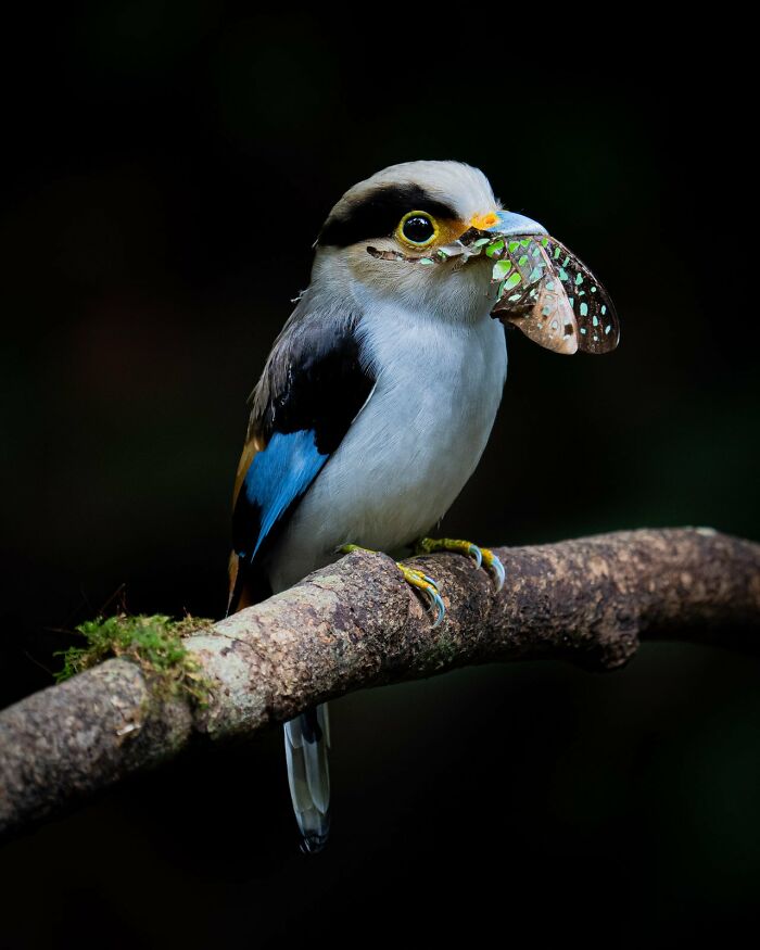 Best Portrait: "Colourful Meal" By Ponlawat Thaipinnarong (Highly Commended)