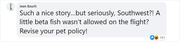 “How About I Take It Home To Live With Me?”: Airline Employee Looks After Passenger’s Pet Fish For 4 Months “How About I Take It Home To Live With Me?”: Airline Employee Looks After Passenger’s Pet Fish For 4 Months