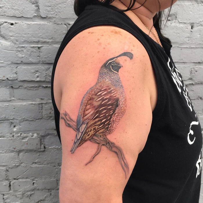 Animal tattoo of a quail on a person's upper arm, displaying intricate details and vibrant colors.
