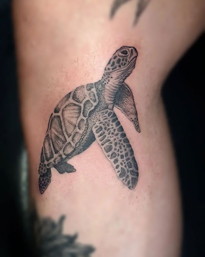 Turtle animal tattoo design on skin, showcasing intricate detailing and shading.