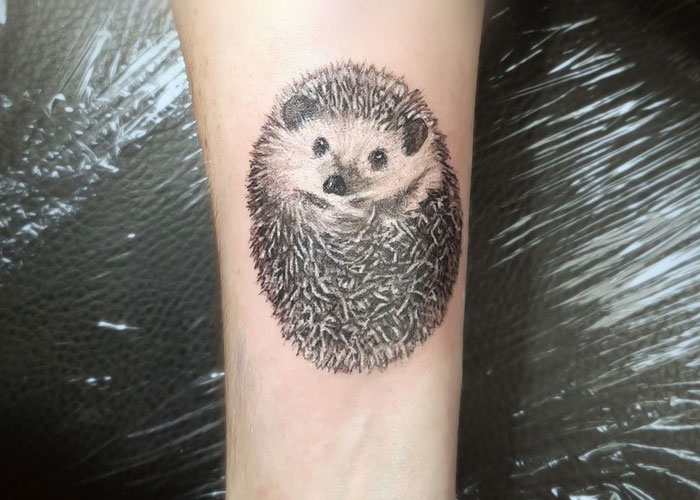 Animal tattoo of a hedgehog on a forearm, showcasing intricate details and shading.