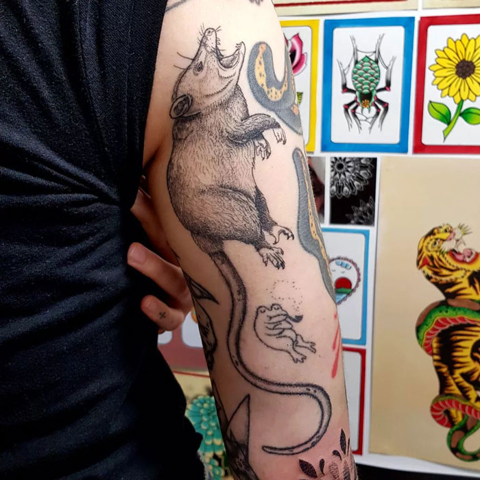 Arm with detailed animal tattoos featuring a rat, snake, and frog, surrounded by colorful tattoo designs on the wall.