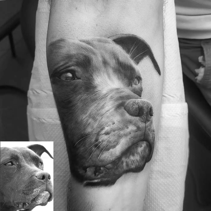 Realistic dog portrait animal tattoo design on a person's arm.