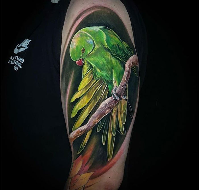 Green parrot tattoo on arm, showcasing vibrant animal tattoo artistry.