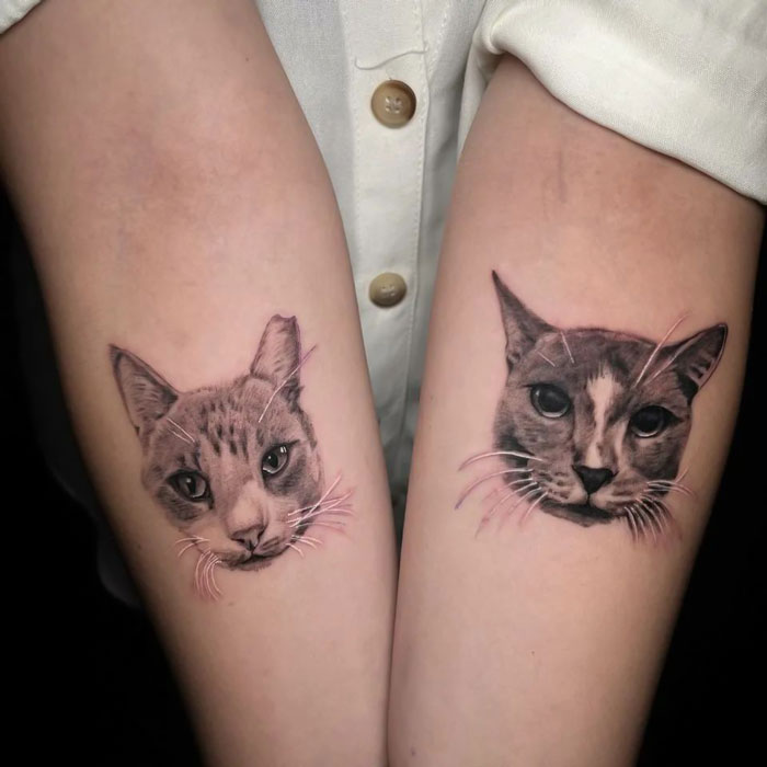 Cat tattoos on forearms showcasing detailed animal tattoo art.