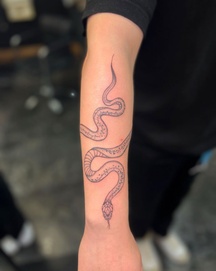 Snake tattoo on forearm highlighting detailed animal design ideas.
