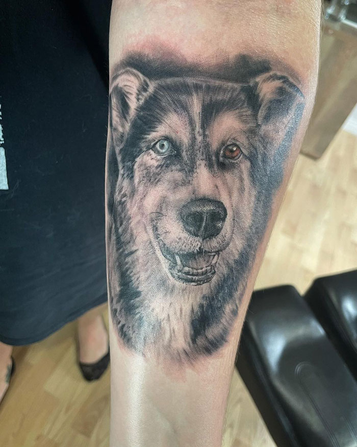 Realistic wolf tattoo on forearm showcasing animal tattoo art.