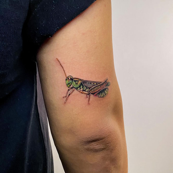 Grasshopper tattoo on an arm, showcasing intricate animal tattoo design details.