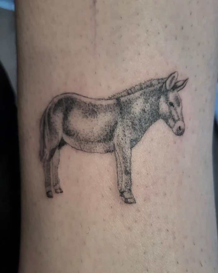 Realistic animal tattoo of a donkey, showcasing simplicity on skin.