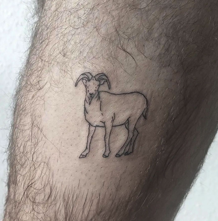 Minimalist goat tattoo on leg, showcasing simplicity and realism in animal tattoo design.