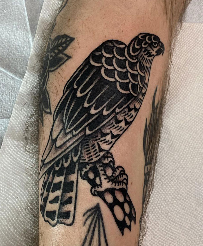 Tattoo of a hawk in bold black and white ink, celebrating the animal kingdom on a person's arm.