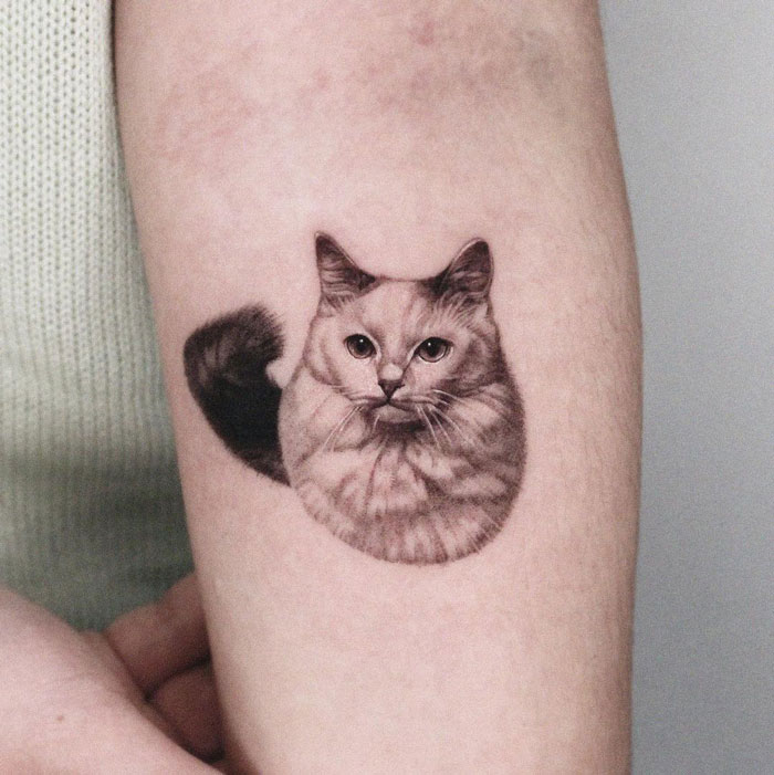 Animal tattoo of a realistic cat on forearm, showcasing intricate details and shading.