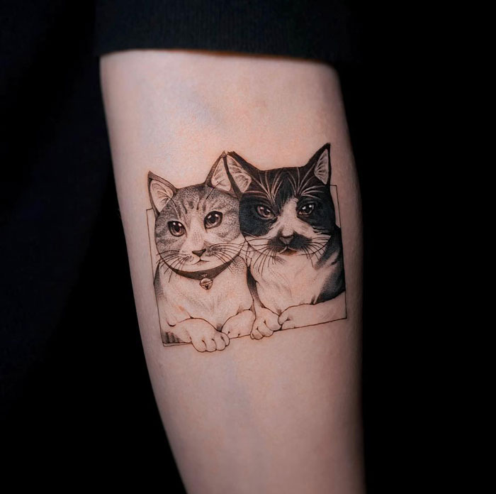 Tattoo of two cats on forearm as part of animal tattoo ideas.