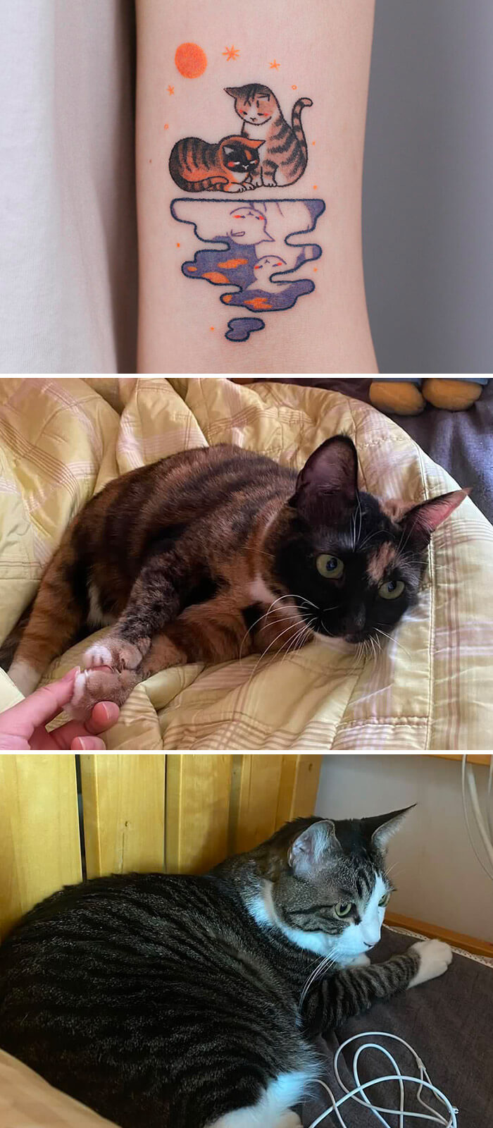 Colorful cat tattoo with cosmic elements, surrounded by two lounging cats on a bed. Animal tattoo inspiration.