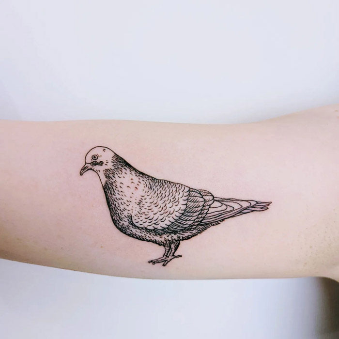 Tattoo of a detailed pigeon on an arm, showcasing animal tattoo artistry.