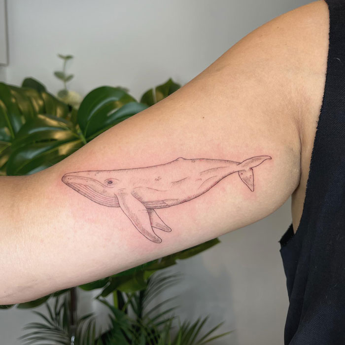 Whale tattoo design on an arm, showcasing intricate animal tattoo art against a backdrop of green leaves.